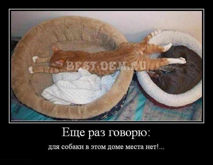   :       !... 