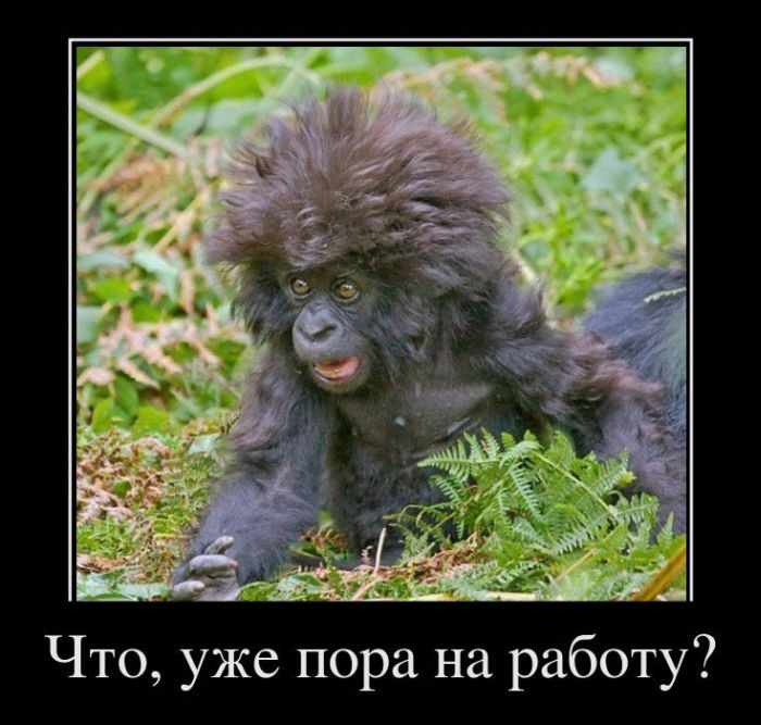 ,    ?