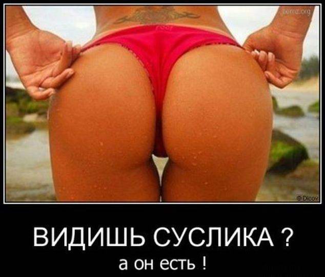  ?   !