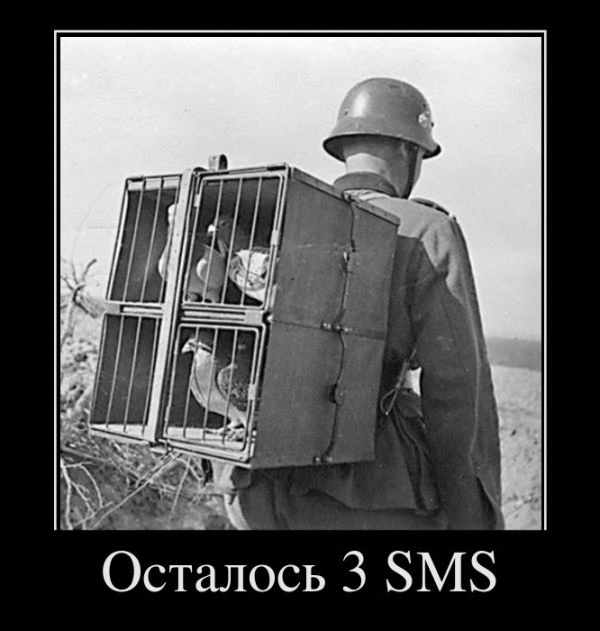  3 SMS