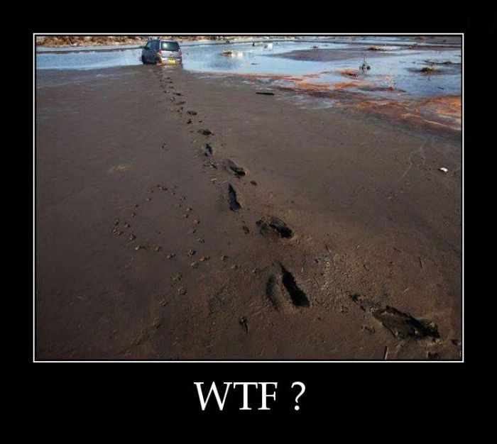 WTF?