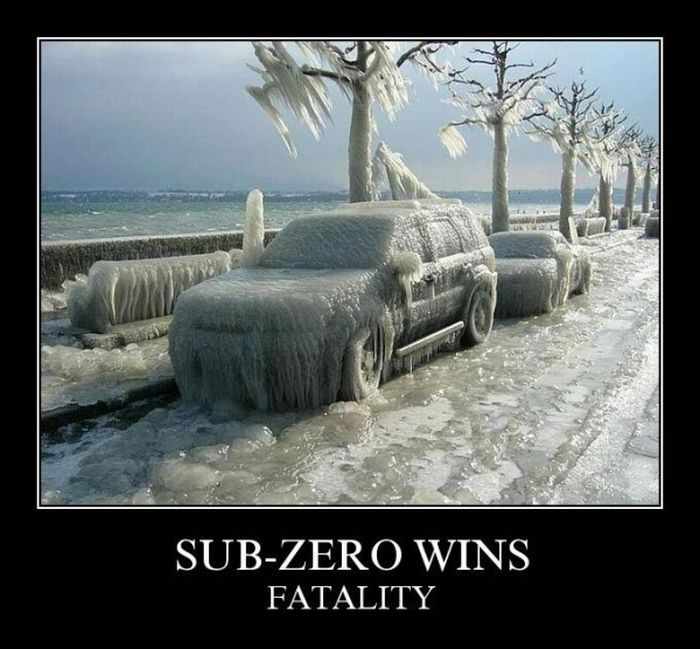 Sub-zero wins fatality 