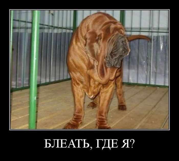,  ? 