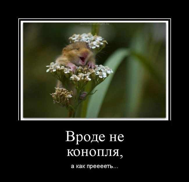   ,   ... 