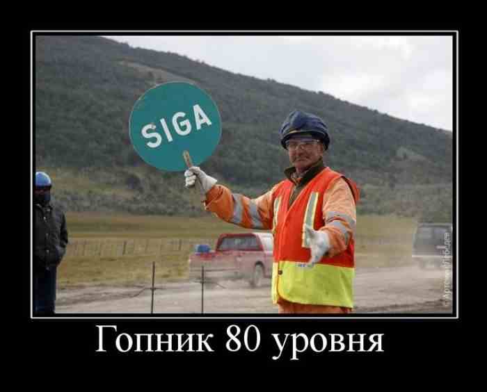  80 