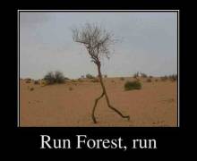 Run Forest, run 