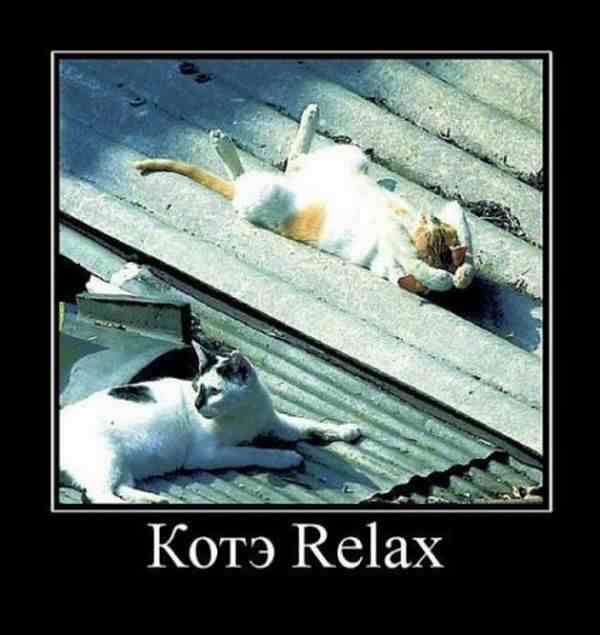  Relax