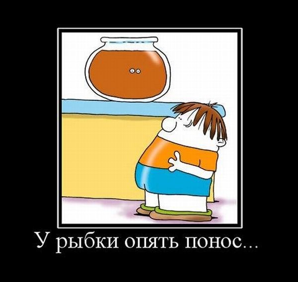 У рыбки опять понос... 