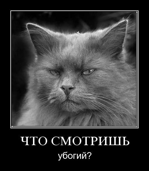  , ? 