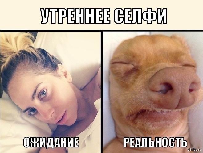 Утро. Ожидание и реальность