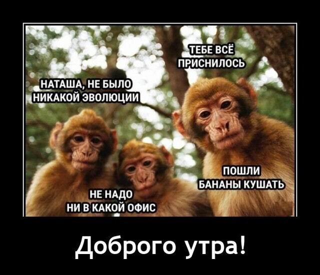 ,   ! 
