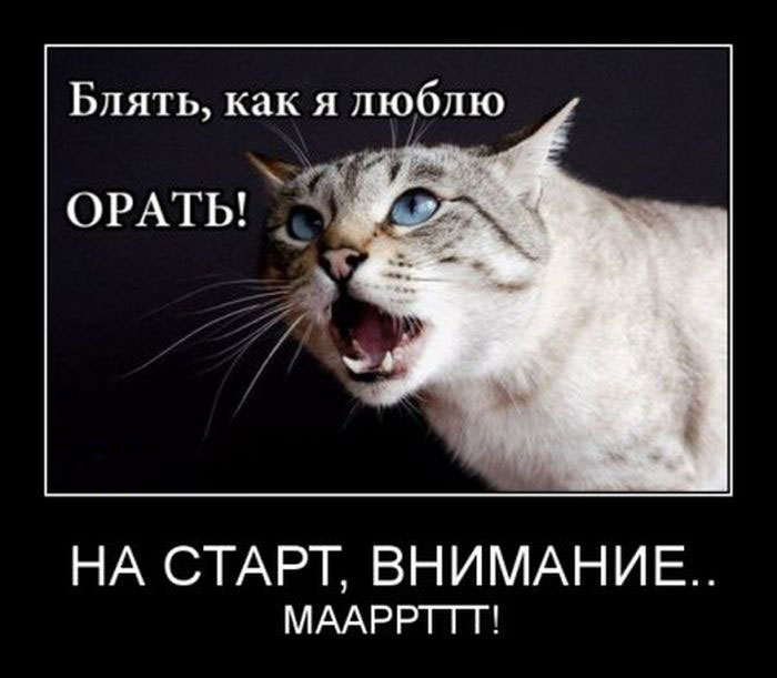  , .. ! 