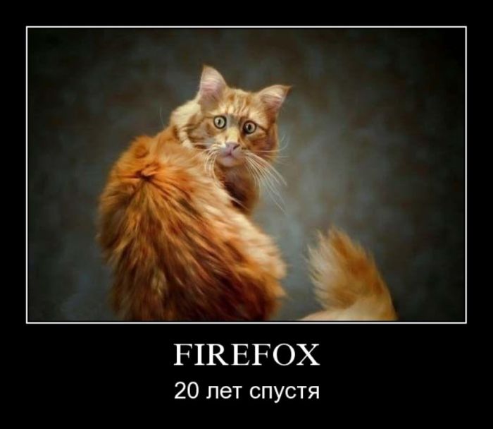 Firefox 20   