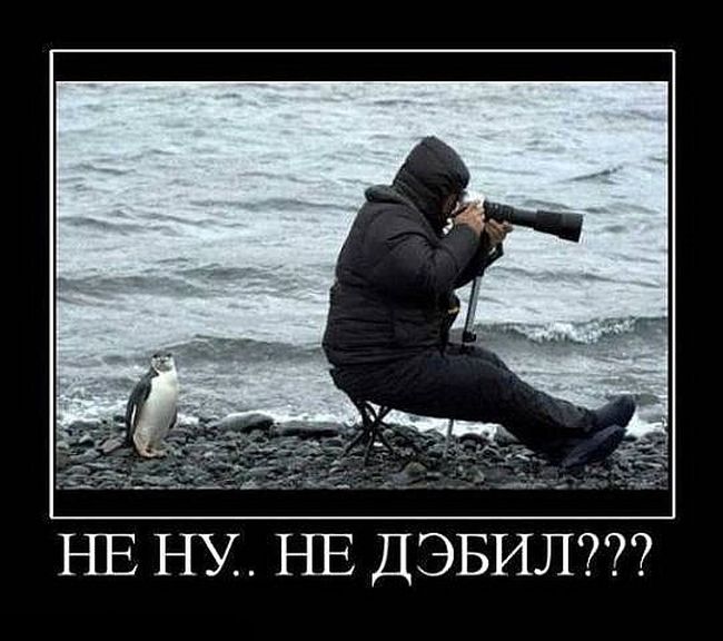  .  ??? 