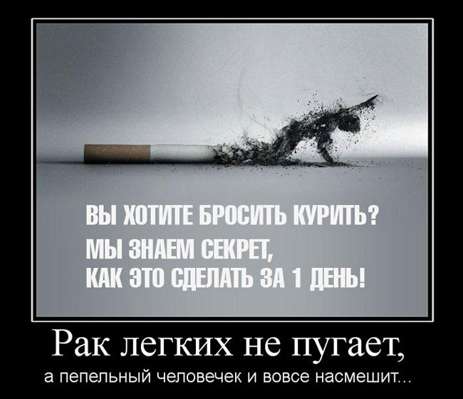   ,      ... 