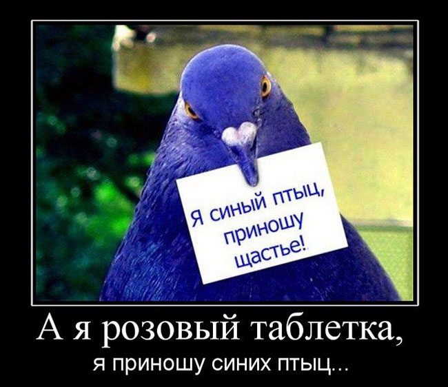    ,    ... 