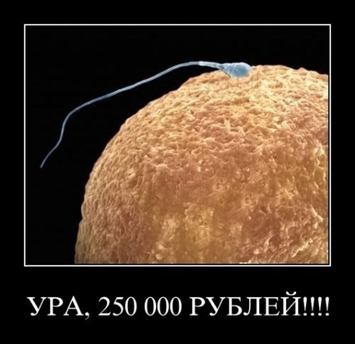 . 250  !!!! 
