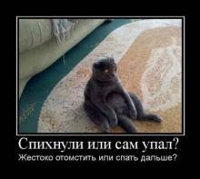    ?     ? 
