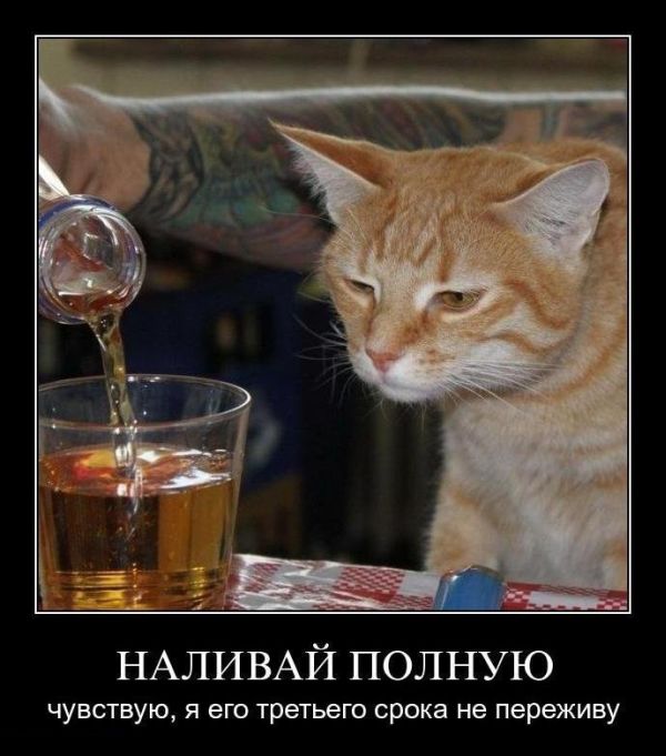 http://www.superdemotivator.ru/dem/demotivatory_529/11.jpg
