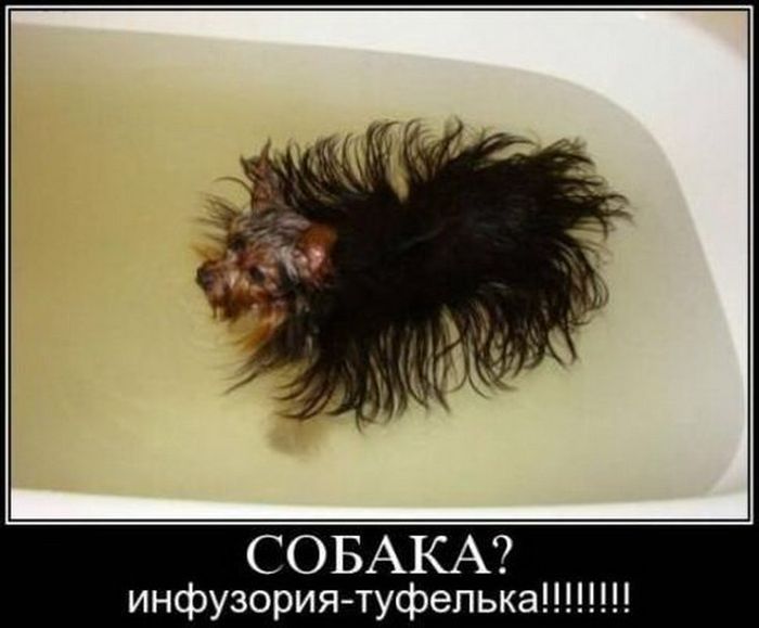 ? -!!!!!!!! 