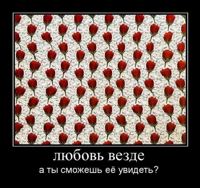  ,     ?