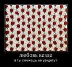  ,     ?