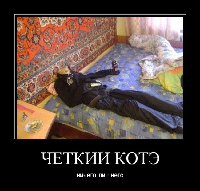Четкий котэ. Ничего лишнего 