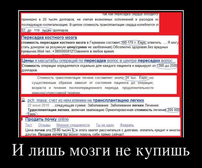 И лишь мозги не купишь