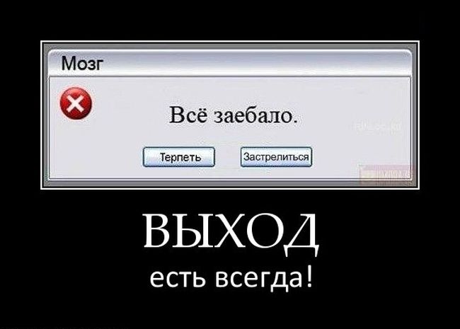   ! 