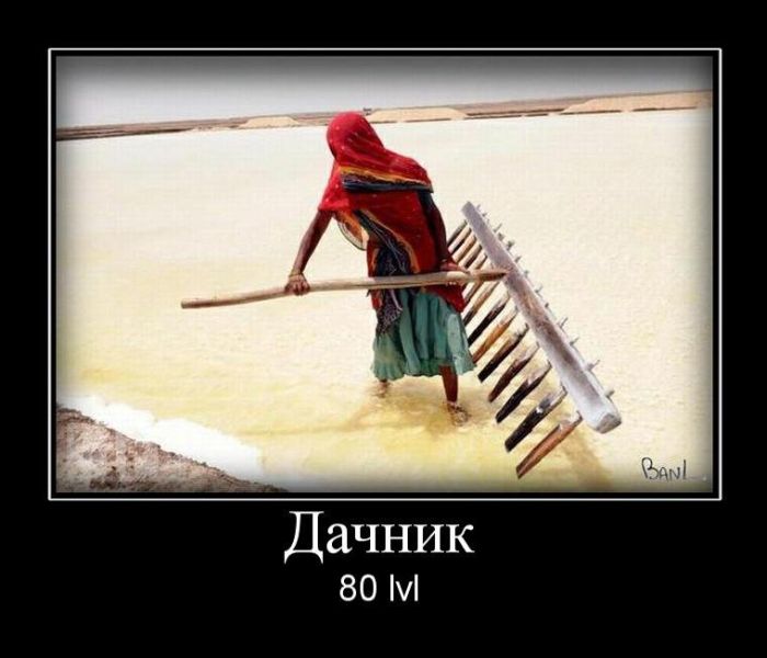  80 lvl 
