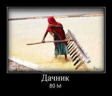  80 lvl 