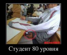  80  