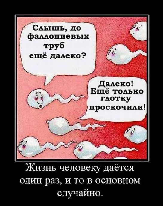    ,     .