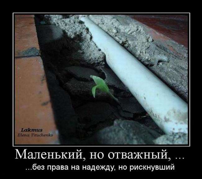 ,  ,    ,   
