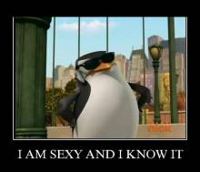 I am sexy and i know it 