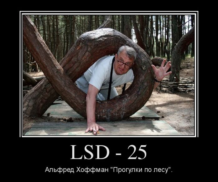 LSD-25     . 