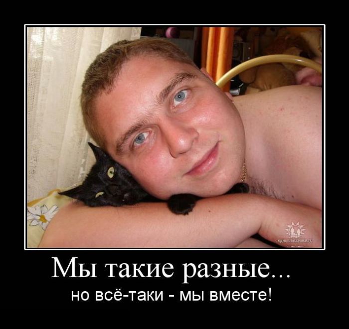   ...  -   ! 