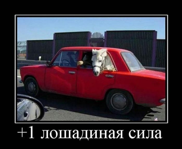 +1   
