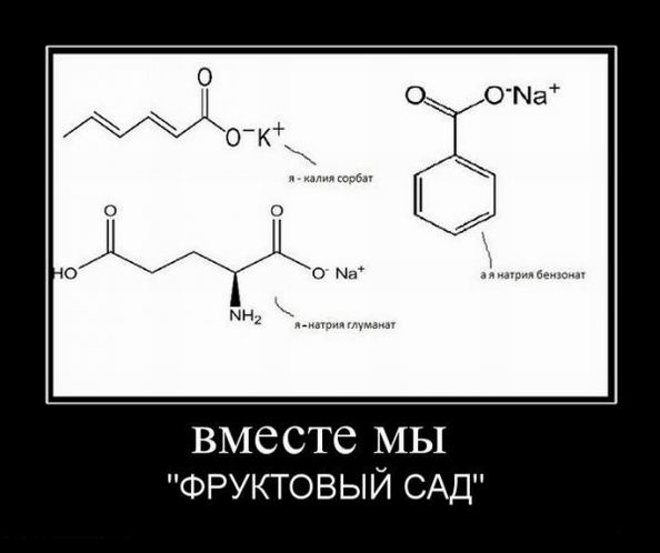 Вместе мы «Фруктовый сад» 