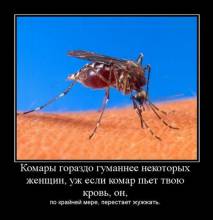 Комары гораздо гуманнее некоторых женщин, уж если комар пьет твою кровь, он, по крайней мере, перестает жужжать. Комары гораздо гуманнее некоторых женщин, уж если комар пьет твою кровь, он, по крайней мере, перестает жужжать.