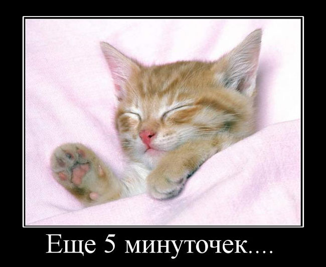  5 ... 