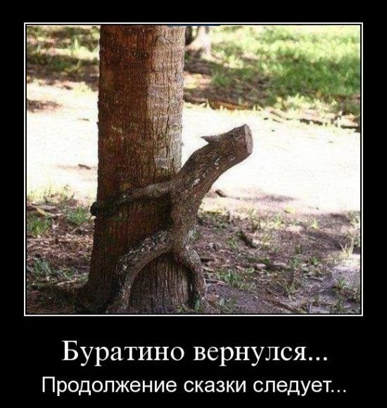  ...   ... 