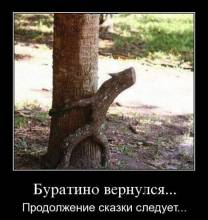  ...   ... 