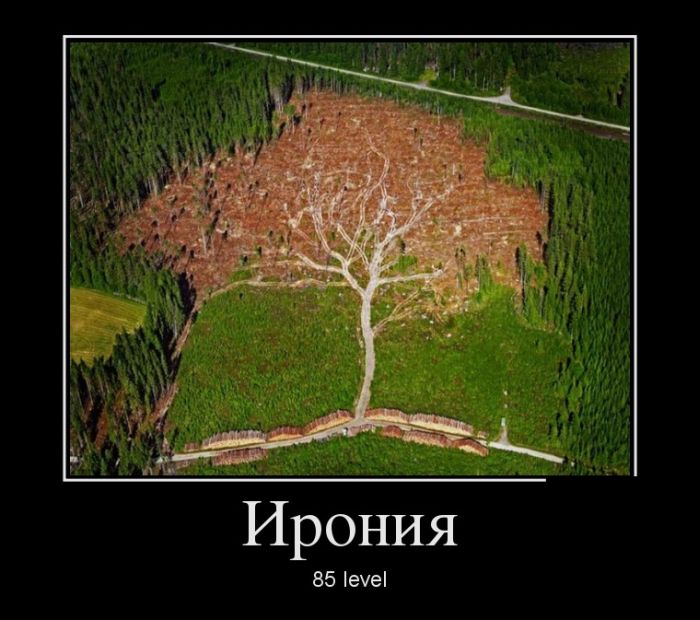 , 85 level 
