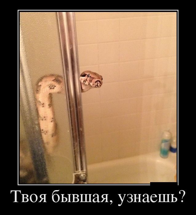  , ? 
