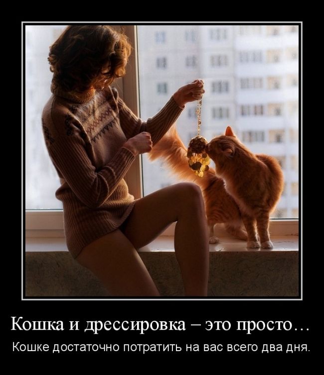      ...        . 