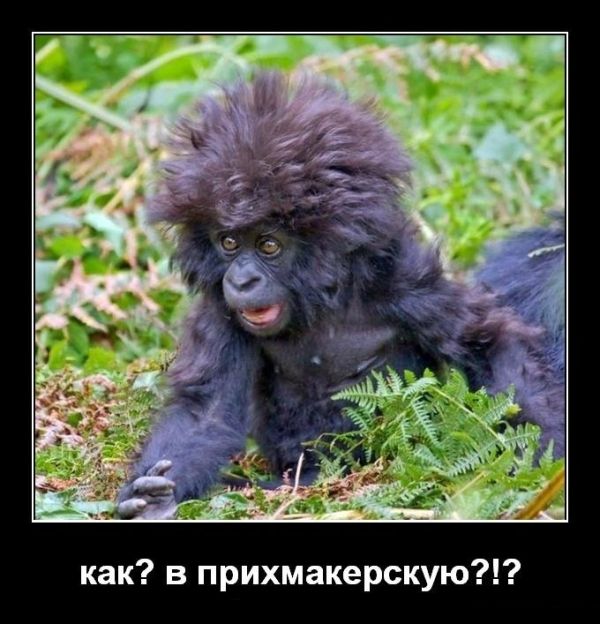 ?  ?!? 