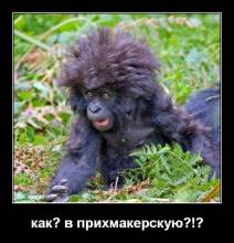 ?  ?!? 