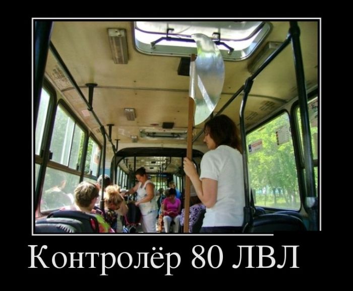  80  