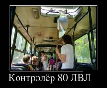  80  